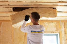 Best Eco-Friendly or Green Insulation Solutions  in Terrell Hills, TX